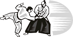 Aikido Moves